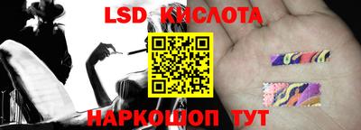 spice Новозыбков