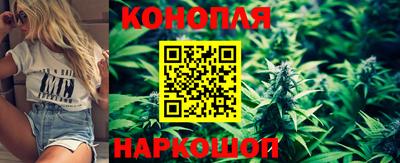 мяу мяу мука Новодвинск