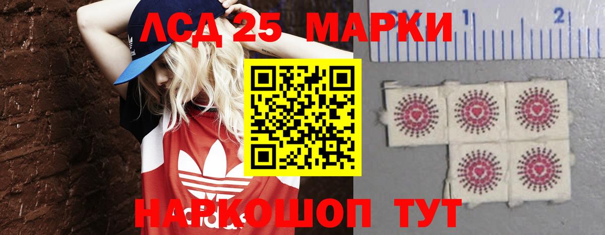 Сланцы  LSD-25 экстази ecstasy  ЛСД экстази кислота  Вход с VPN 