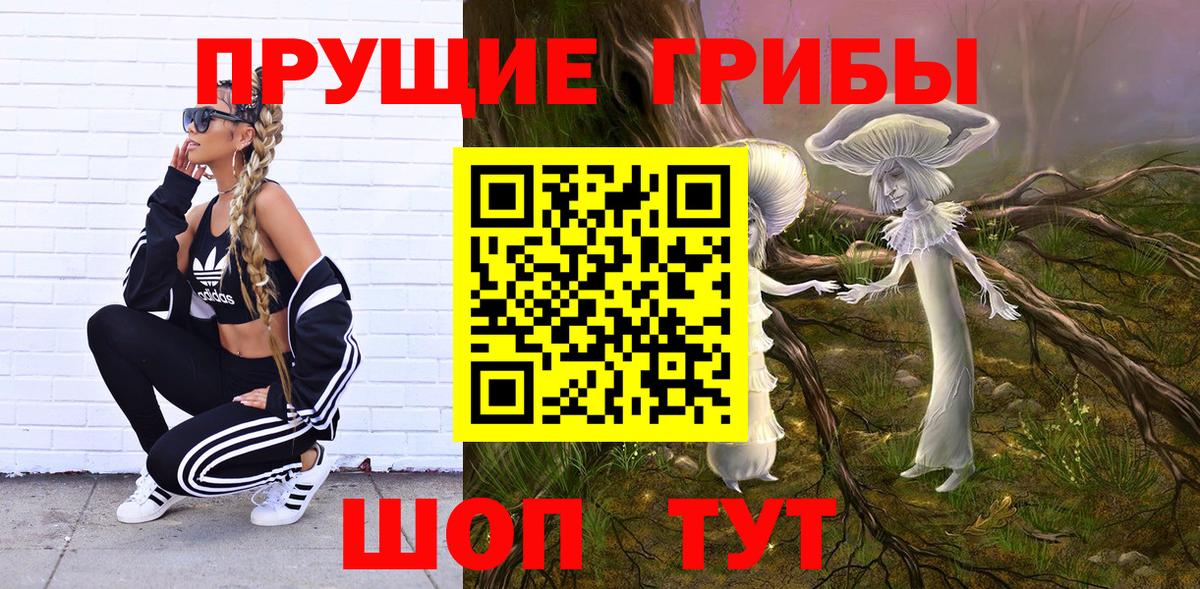Сланцы  Псилоцибиновые грибы Cubensis  дарнет шоп  Псилоцибиновые грибы Magic Shrooms  Вход с VPN 