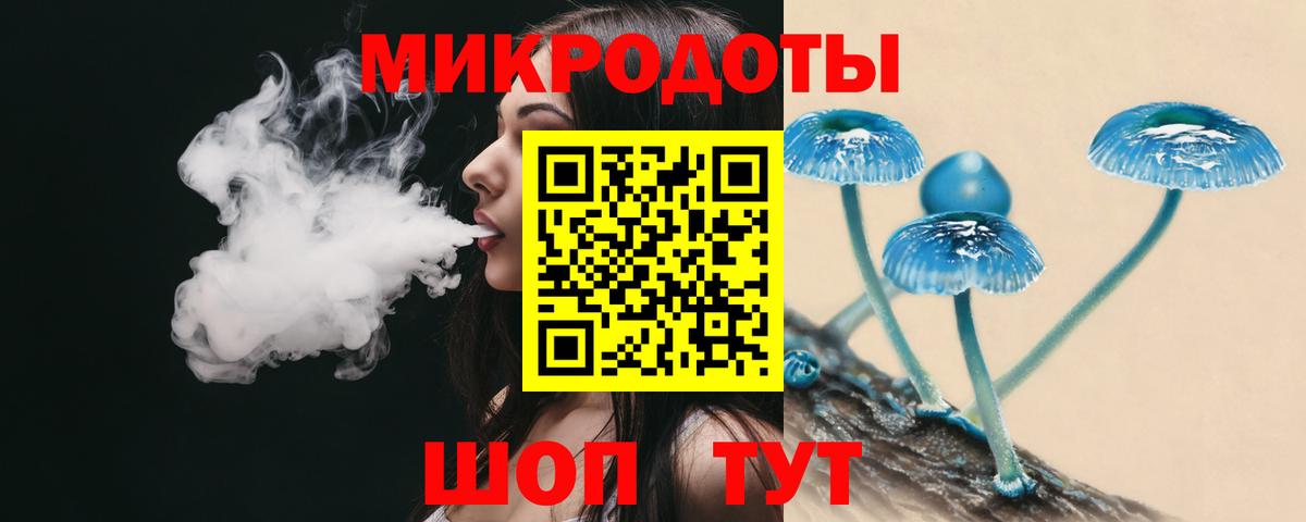 Галлюциногенные грибы мухоморы Сланцы